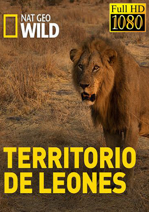 Territorio De Leones