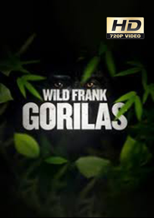 Wild Frank Gorilas