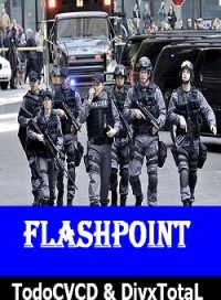 pelicula Flashpoint