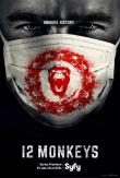 pelicula 12 Monos