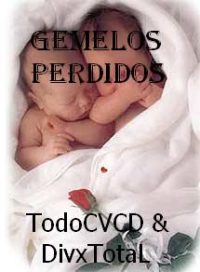 pelicula Gemelos Perdidos