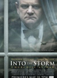 pelicula Into The Storm