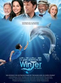 pelicula La Gran Aventura De Winter El Delfín