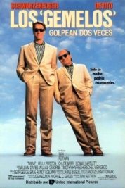 pelicula Los Gemelos Golpean Dos Veces