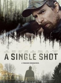 pelicula A Single Shot