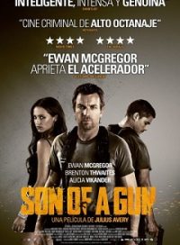 pelicula Son Of A Gun