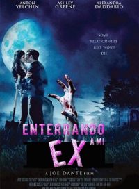 pelicula Enterrando A La Ex