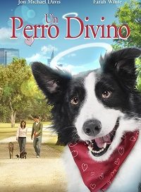 pelicula Un Perro Divino