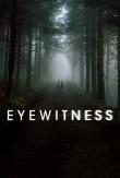 pelicula Eyewitness