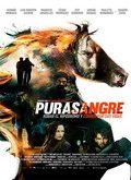 pelicula Purasangre (2016)