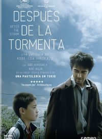 pelicula Después de la tormenta HD