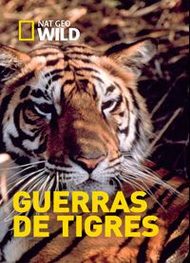 pelicula Guerras De Tigres