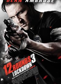 pelicula 12 Rounds 3 Lockdown