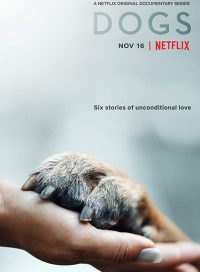 pelicula Amigos Caninos