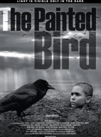 pelicula El Pajaro Pintado