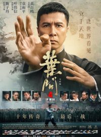 pelicula Ip Man 4 El final