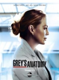 pelicula Anatomia De Grey