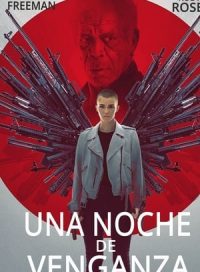 pelicula Una noche de venganza