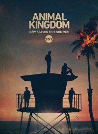 pelicula Animal Kingdom