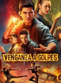 pelicula Venganza a golpes