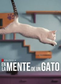 pelicula En la mente de un gato