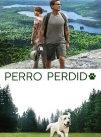 pelicula Perro perdido