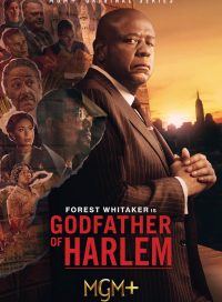 pelicula El Padrino De Harlem