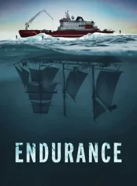 pelicula Endurance